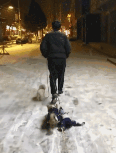  “东北小姨给我介绍的相亲女友，总觉得有点HOLD不住，确实不太合适！”哈哈哈