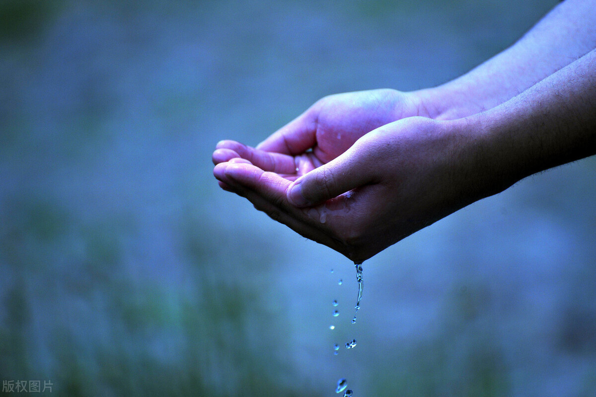 我从前朝来 心有多静,福有多深