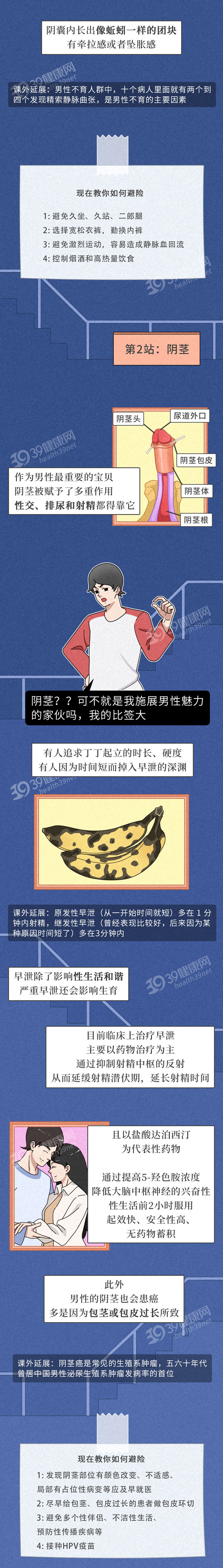 39健康网|男性的生殖系统，你真的了解吗？包含哪些器官？都有什么功能？