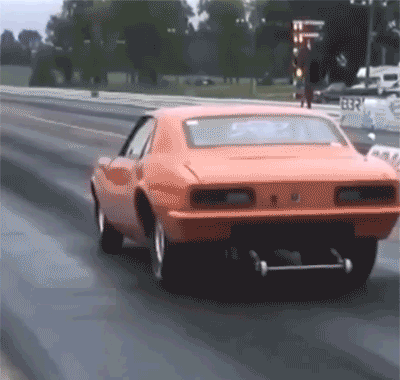 动物庄园|“女友闺蜜喊我单独去唱歌,穿成这样我沦陷了...”