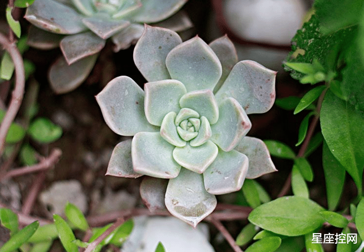 |啥日子出生的人，一岁一枯荣，财富掌握在手中，优势凸显走上坡路