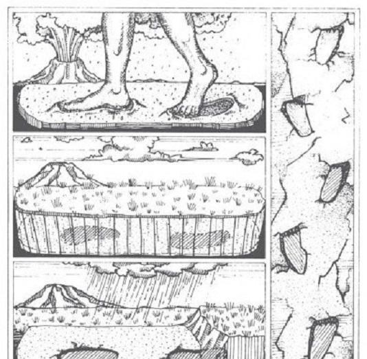 电鳗 科学家发现数十亿年前“不应该存在”的东西？史前文明真存在吗？