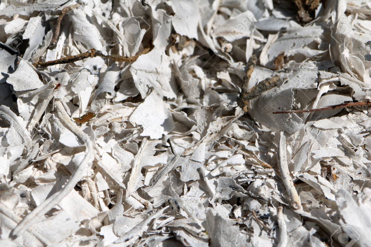 久见菌菌|人火化后,骨灰竟然有不同的颜色,还能反应出生前的健康状况?