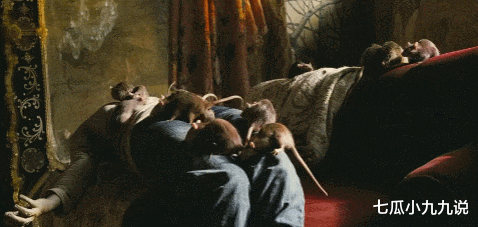 张静初|张静初：“专睡导演20年”，惨遭太太团封杀？41岁的她如何了？