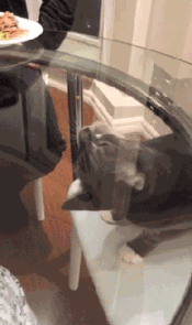 大城小乐故事 “和男友住主题酒店，很纳闷浴室里的这东西是干啥用的？”哈哈哈哈