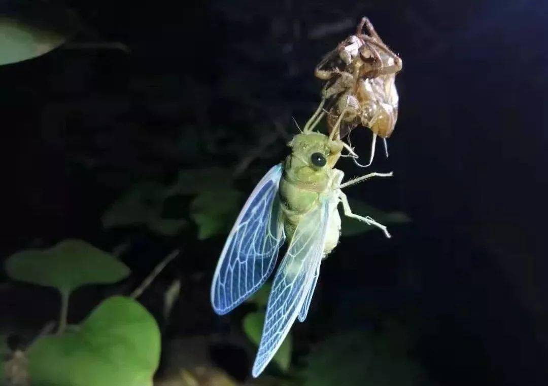 济南新闻网 这样带娃“遛”公园,普通公园也能逛出动物园的感觉