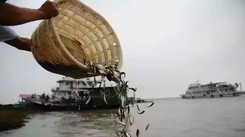 鳊鱼|十年禁渔,众多水域不让垂钓,钓鱼爱好者该何去何从?