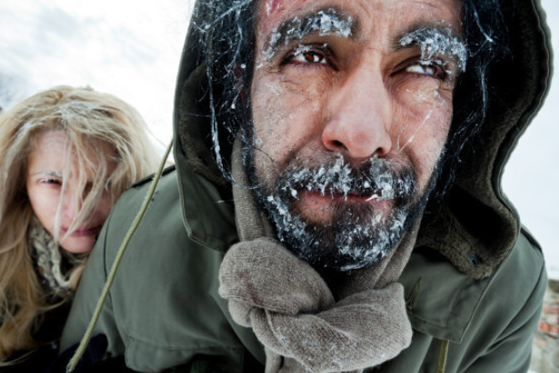 鲨鱼 世界上最冷的地方在哪里？温度是多少？答案你可能想不到