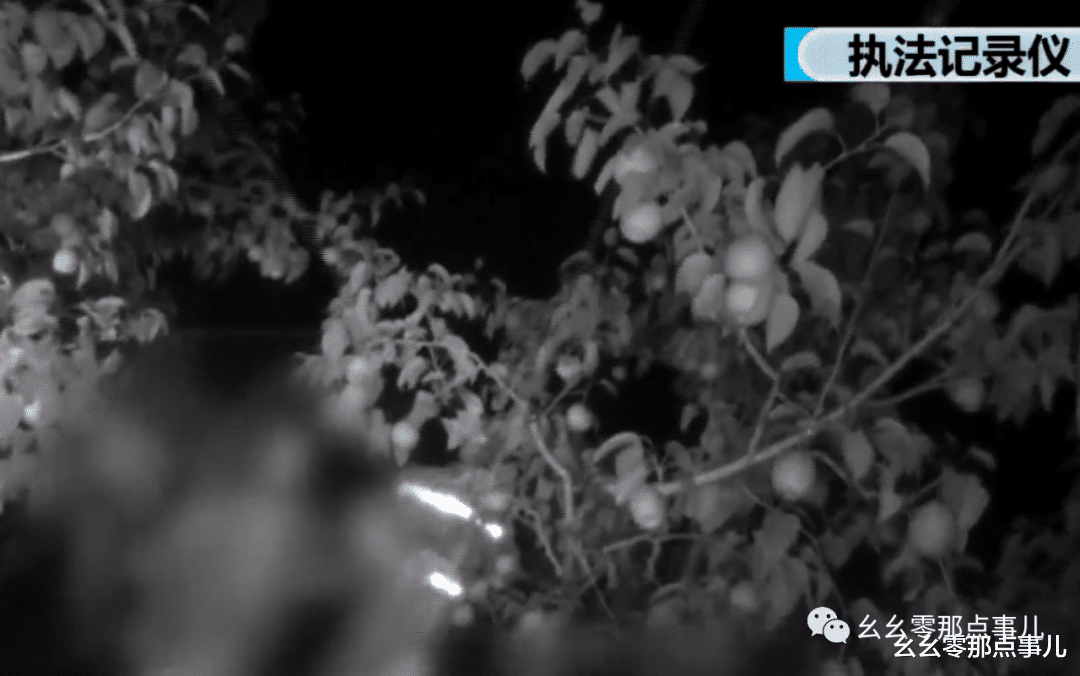 南安 奇葩！北京一果农竟然馋“交通指挥员”身子，顺走假人当成稻草人