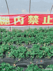 在沙漠里看到了一只死掉的蜥蜴,前面还有一个饮料的易拉罐,这个故事告诉了我们什么道理呢?哈哈哈哈