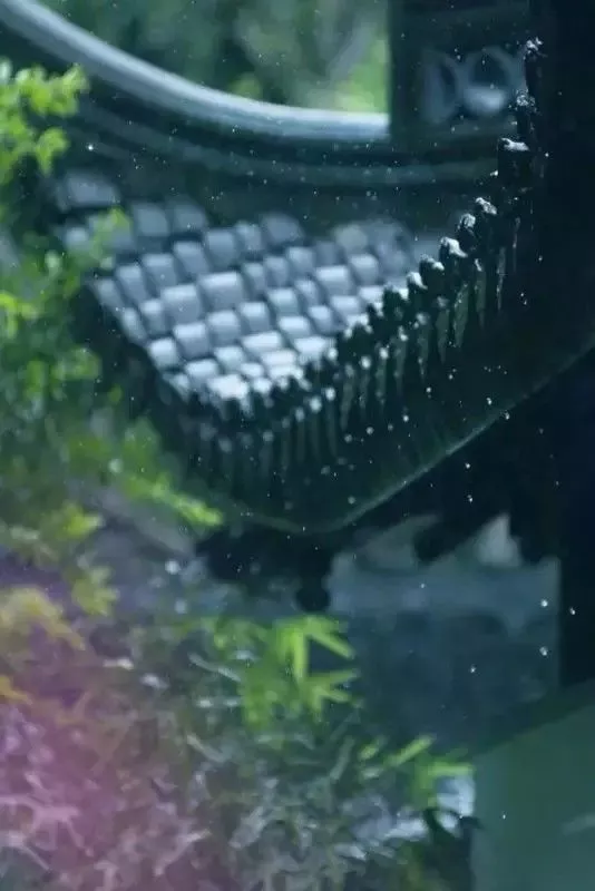 我想有个小院，观四季，有清欢