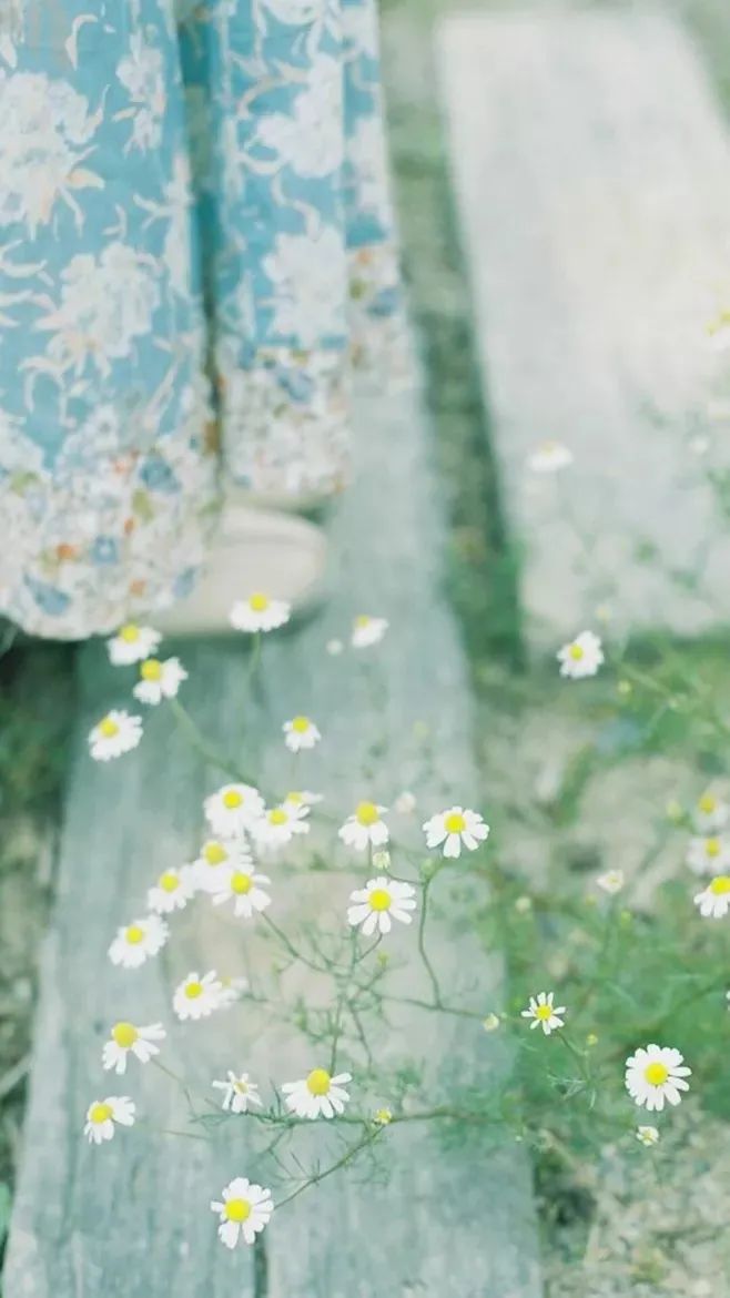 乌前旗文体旅游广电 最适合春游发朋友圈的诗句,每一句都妙不可言