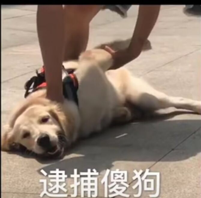 万达|王思聪父亲因病去世？别传谣了，万达都报警了