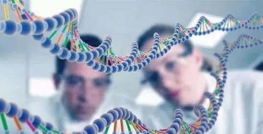 微生物 病毒与人类进化：病毒把人类搞死了，自己也死了，目的何在？