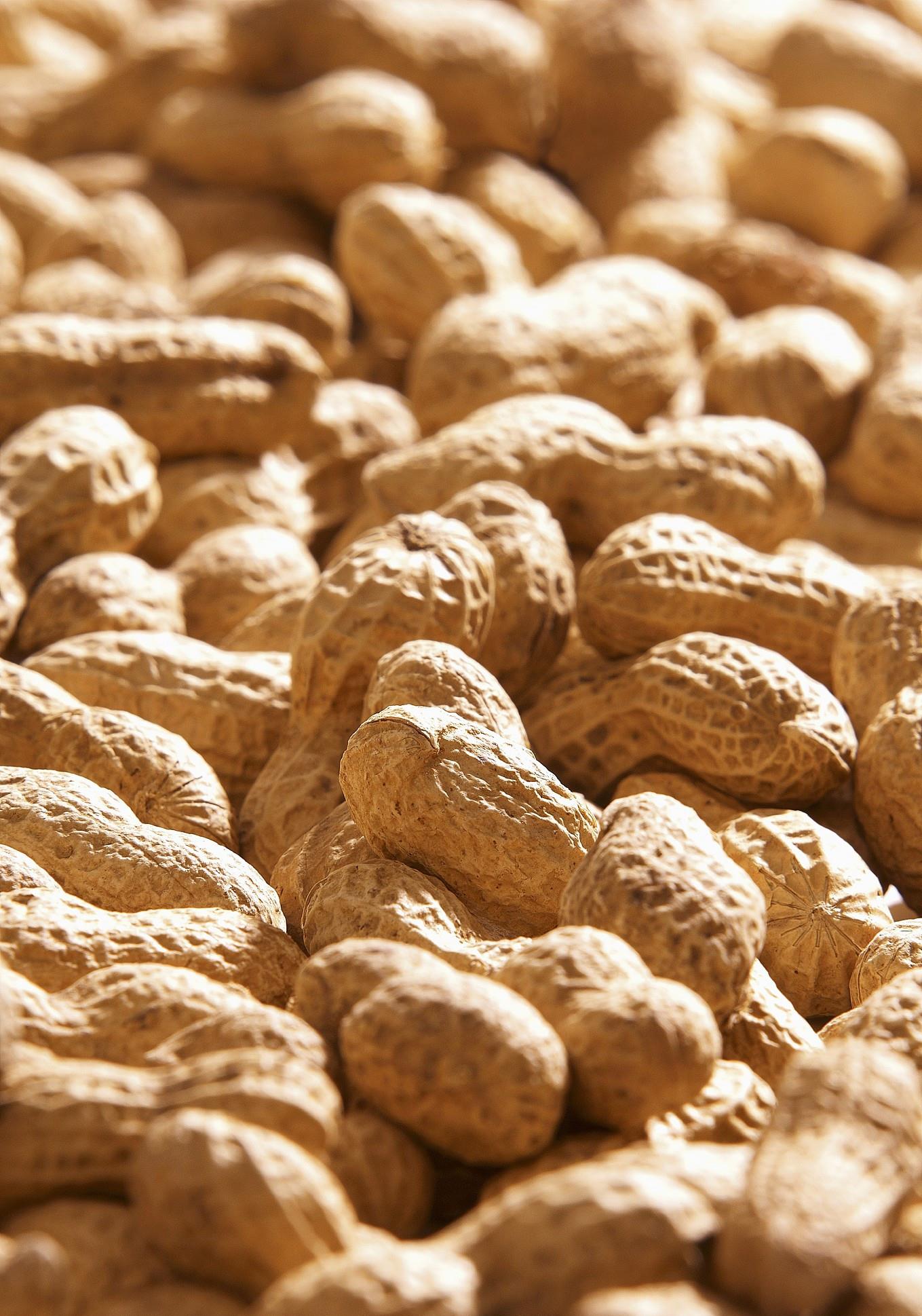 花生|瓜子和花生哪个比较好？一个减肥一个增肥，看你有没有吃对！