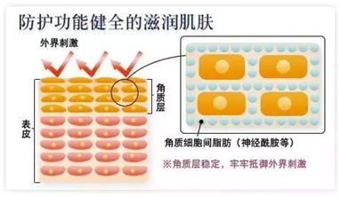 珑阳谈护肤 你还在找解决红血丝的秘诀吗？这几招教你解决红血丝
