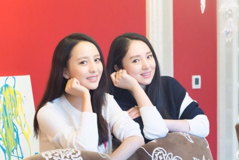 章子怡|让人傻傻分不清楚的9对明星，看完能够分清3对以上的算你赢