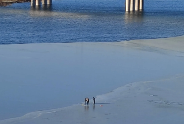 潮白河|北京潮白河河面没封冻，已有冰钓人上冰作钓，要么上鱼要么喂鱼！