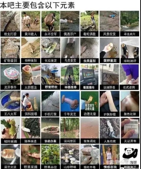 |戒色吧、抗压吧、钓鱼吧，简直是神奇的存在啊！