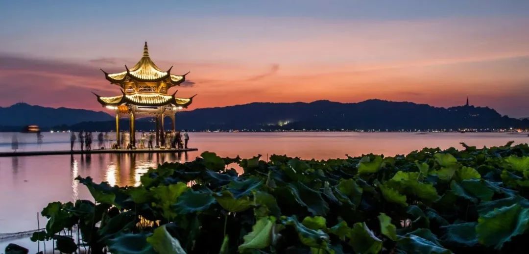 二手房|5000万直接打水漂！开发商罕见退地！杭州楼市风向大变？