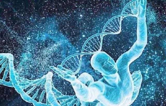 永生是一件好事吗?人人都喜欢,可是对于物种的长盛不衰却不利