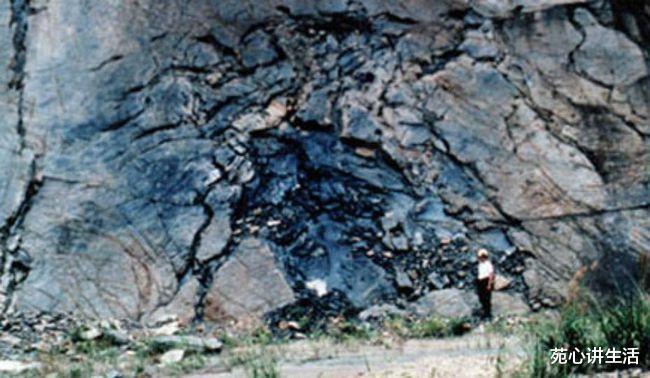 化石 科学史上五大谎言,没有一个是真的,但至今仍有人深信不疑