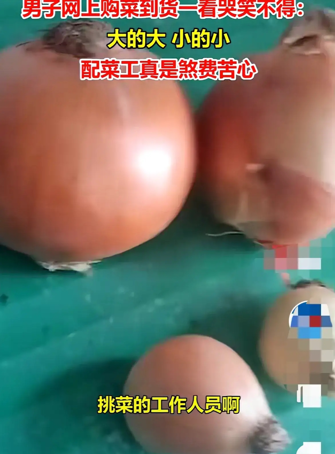 男子网上购买蔬菜,收到货后哭笑不得:配菜工真是煞费苦心了!