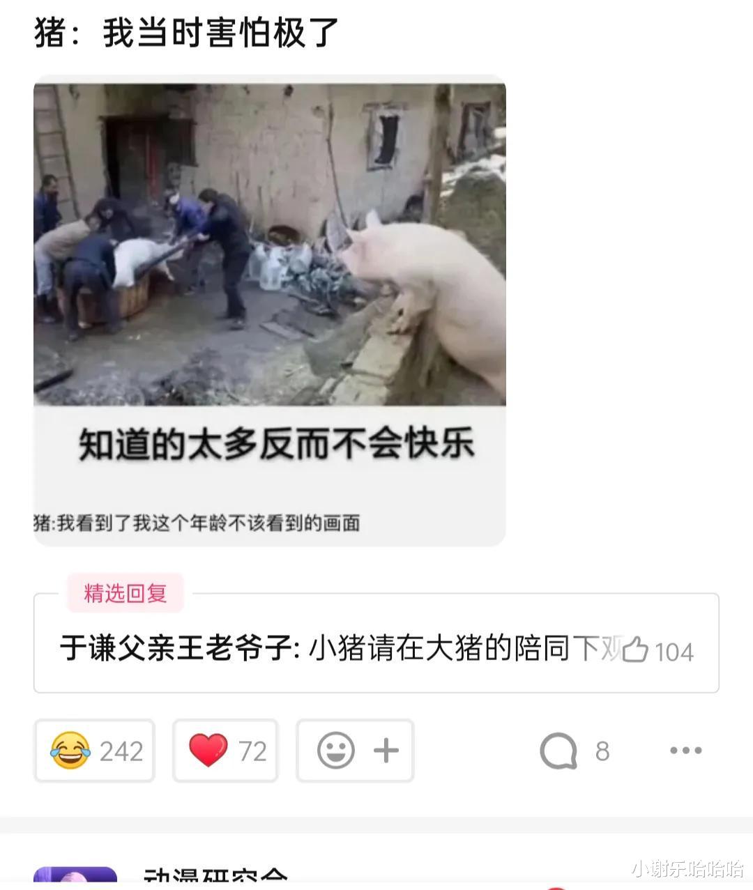  “你是如何诞生的？你可是战胜了科学家、明星、医生的存在”哈哈哈