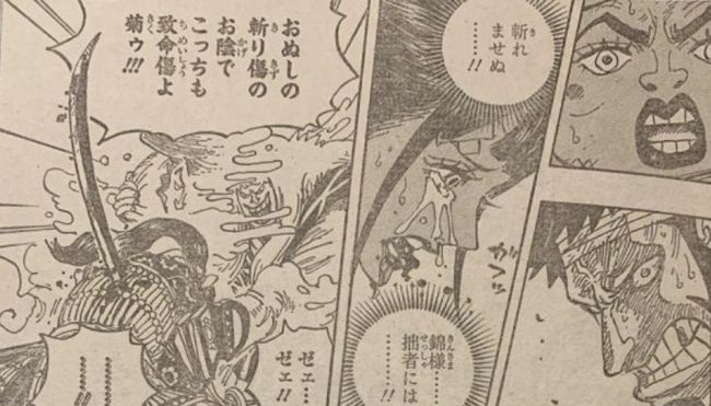 路飞|海贼王1014话详细情报，桃之助使命曝光，一切都是乔伊波伊的计划