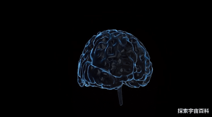 机器 意识是什么？意识从哪里来？意识即灵魂吗？量子复活真的能实现吗