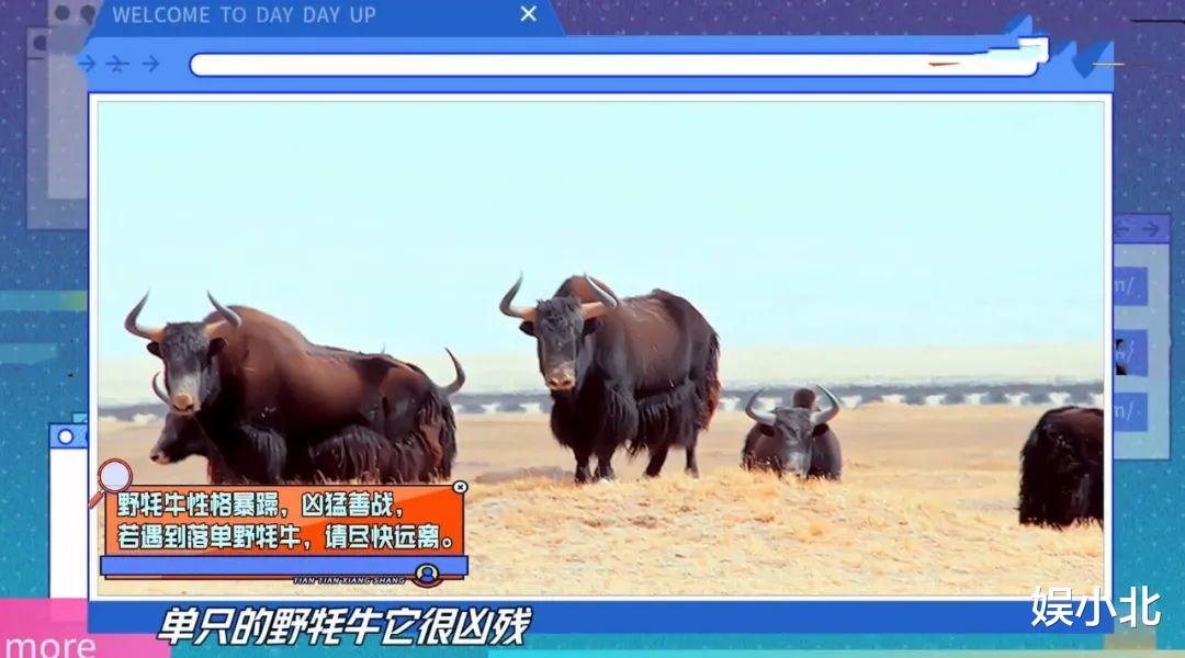 天天向上|做出三大改变后格调飙升，《天天向上》，你早该这样了