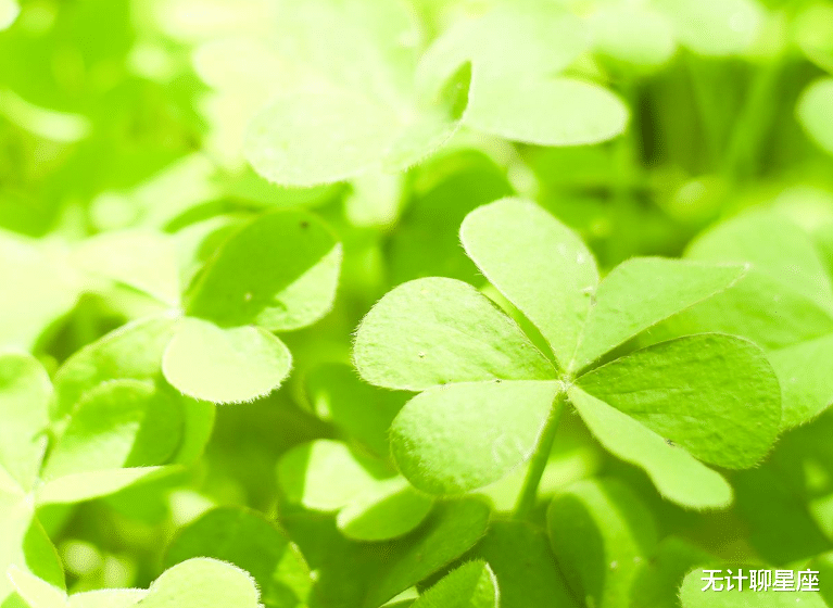 摩羯座|前半生，4个星座，纵横职场，无往不利，拼搏前进，不枉努力