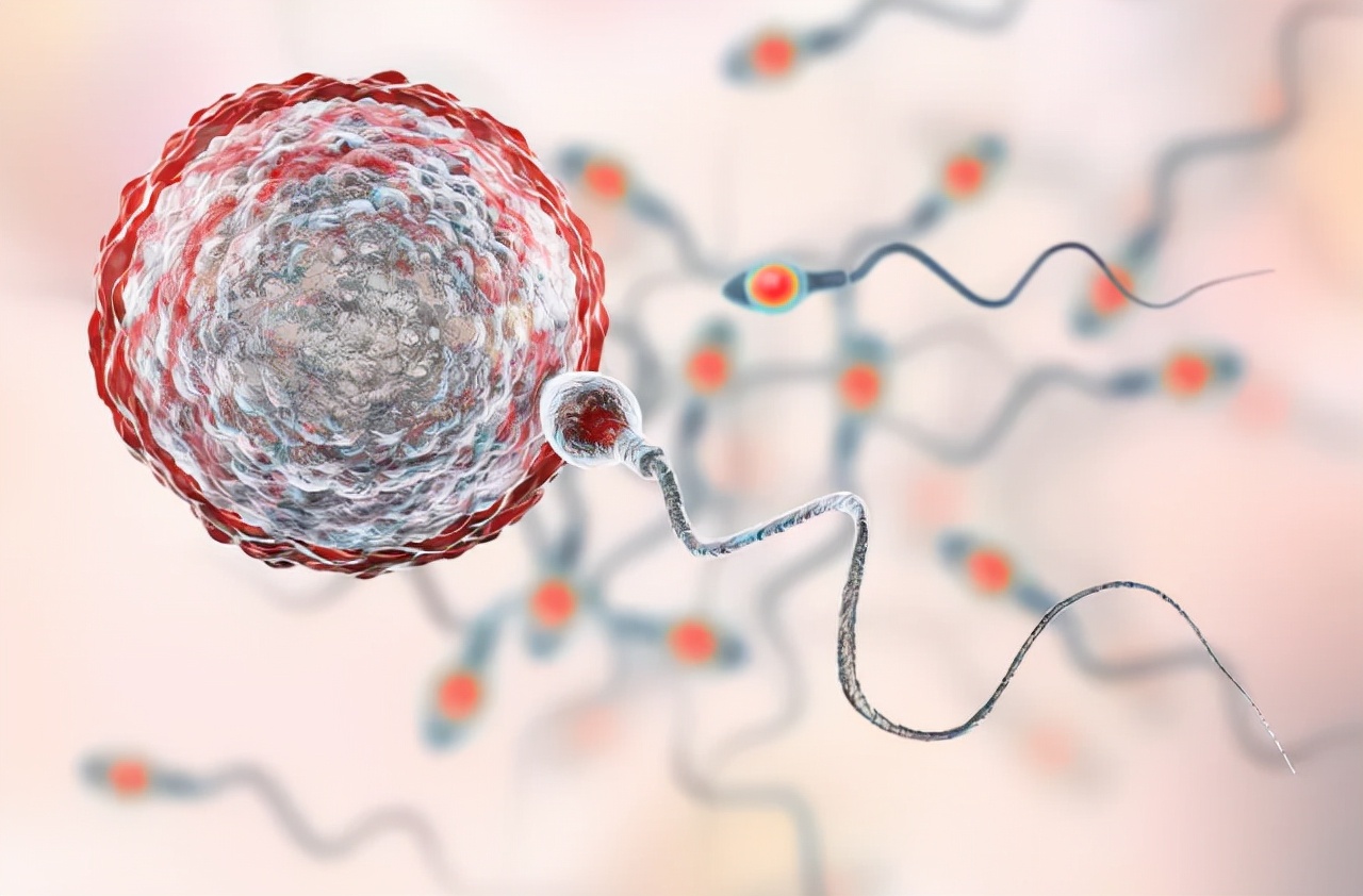 人工授精 太硬核!嫌医院人工授精太贵,女子网购针筒自行操作:竟一次成功