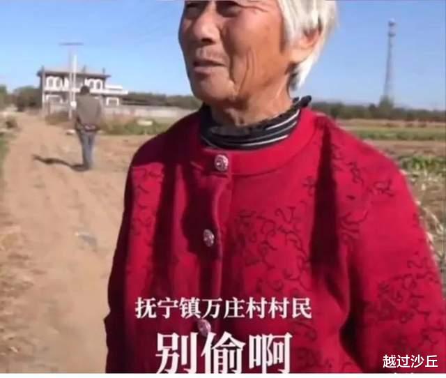 河北老人的“偷菜团”:他们偷走的是白菜,丢失的却是良知和尊严
