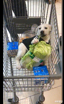 交易 发现女友跟奔驰车主的交易后,我也沦陷了...