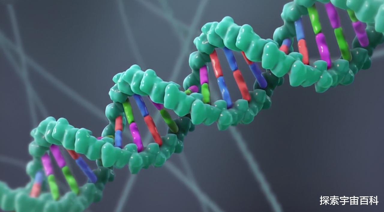 机器 人只是基因操纵的“傀儡”？颠覆三观的科普神作《自私的基因》