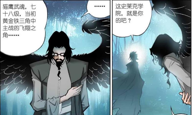 |封号斗罗原来是昊天斗罗！昊天斗罗教训赵无极！
