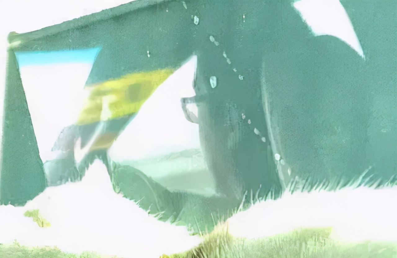 张大奕|张大奕风波再发酵！凌晨晒照床上露出异性脚，拍照角度被指太刻意