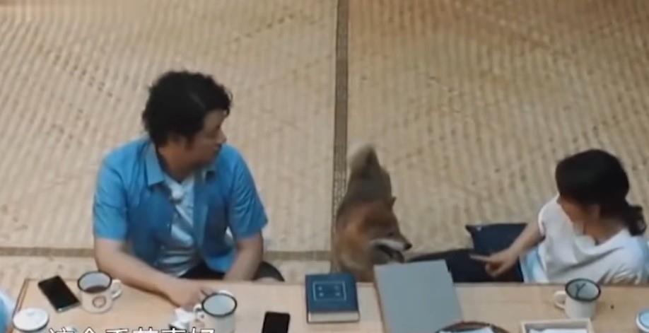 美颜|谁说女星离不开美颜滤镜？这8位女演员个个是养生达人, 美得太真实