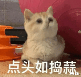 黄磊|他也离开了？！