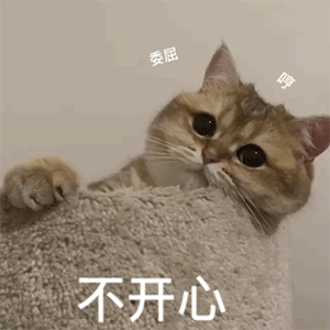 爱洛阳 拆迁最新曝光！还有非机动车驾驶、牡丹花会、最新拆迁安置回复...