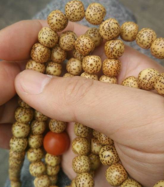 琥珀|星月琥珀供？够奢侈