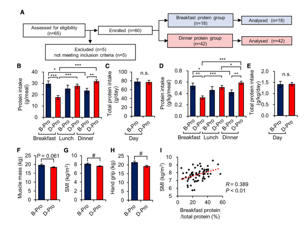 胶原蛋白 居家瘦减肥:为什么你吃蛋白质减脂增肌却无效?不妨试试以下方法!