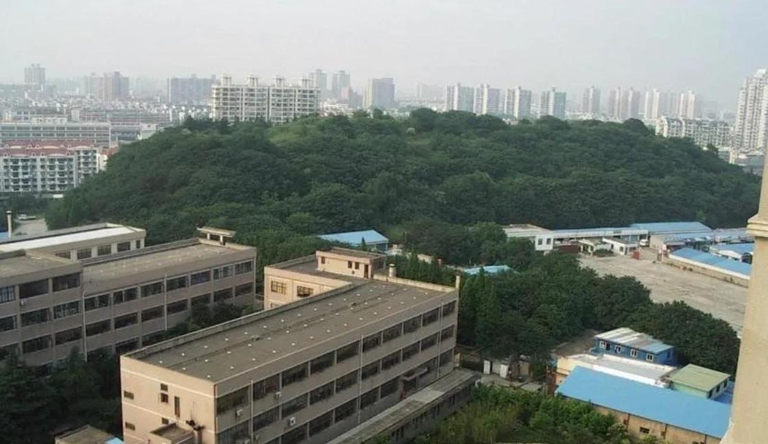 小小星座解说屋|上海市区“神秘”的山，曾被当作靶场和刑场，现在不对外开放