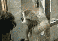 铭洋说育儿|神回复：90后没做过高铁飞机，一身地摊货，请不要嘲笑我，大神两个字让我笑了