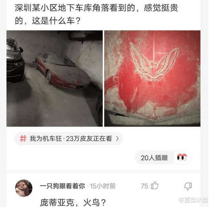“某小区的地下车库看到的,这是啥车啊?”