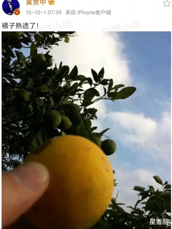 街拍|当年港媒嘲朱茵黄贯中过着穷困的生活，却根本不知道他们有多幸福