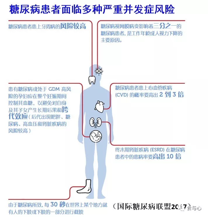 食与心|生活在童话般美丽的国度,新西兰人比中国人更健康吗?