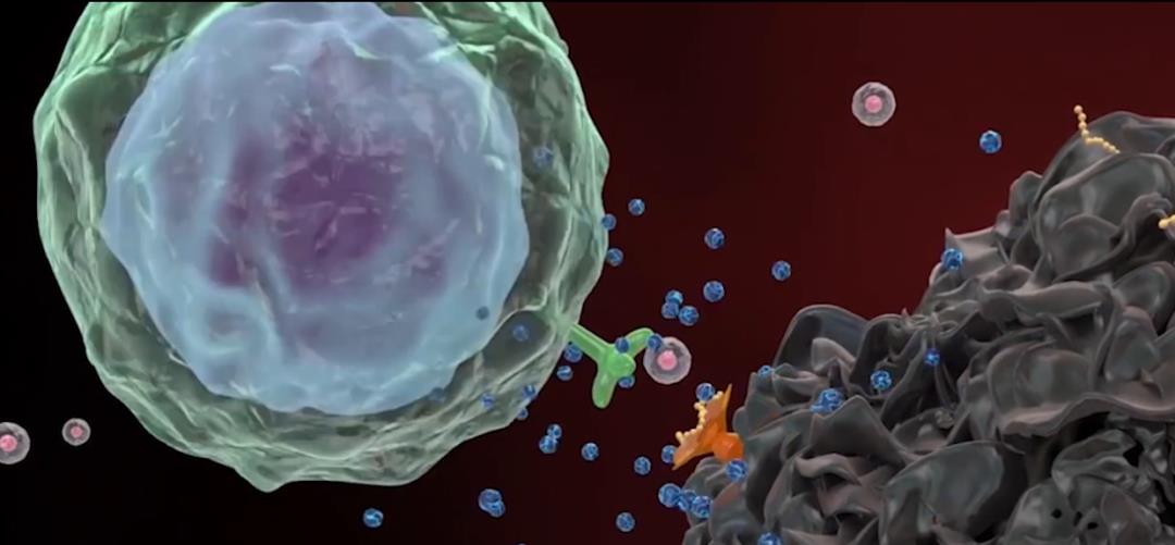 car-t 90%患者完全缓解!《JCO》最新CAR-T疗法1期临床研究结果