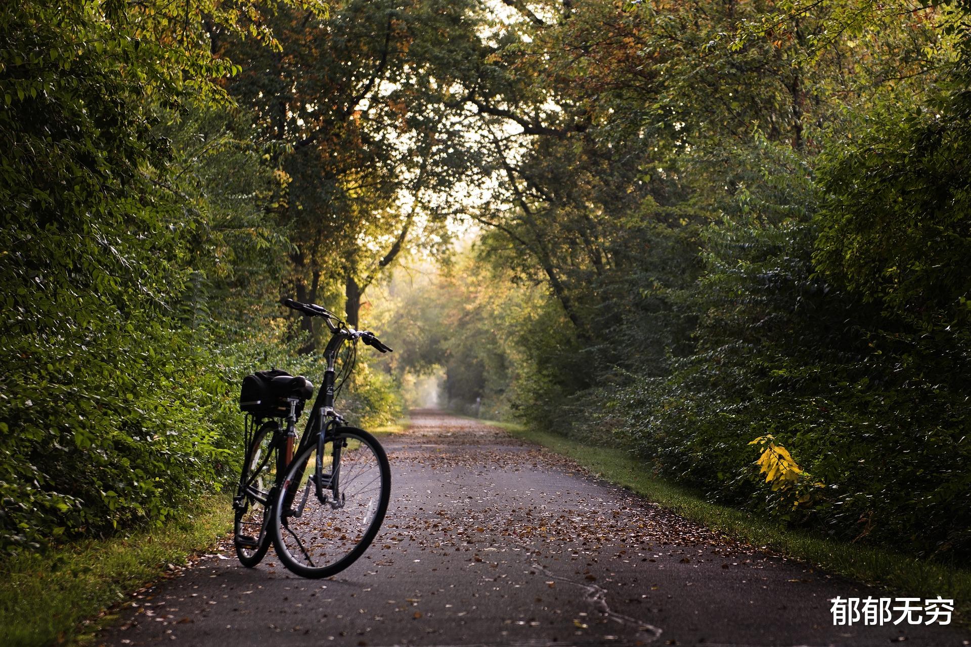 给自己5个买自行车的理由。